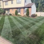 Weekly mowing