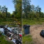 Junk Removal