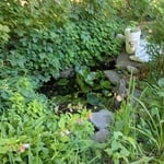 Lawncare