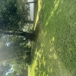 Lawncare