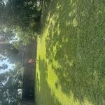 Lawncare