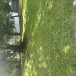 Lawncare
