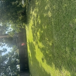 Lawncare