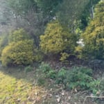 Project Photos