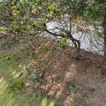 Project Photos