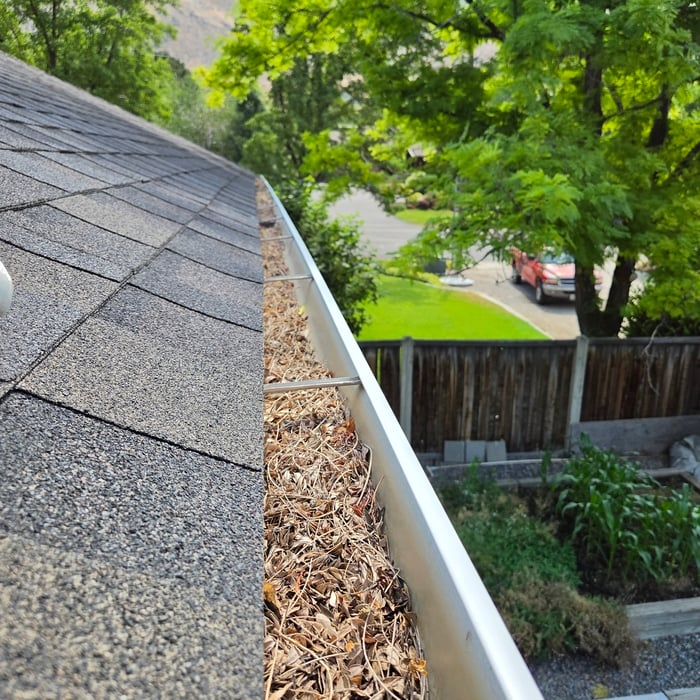 Gutter Cleaning