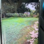Lawn Care