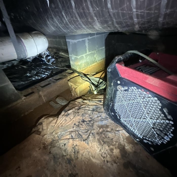 Water Mitigation