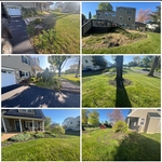 Mulching and Landscape