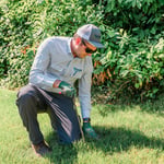 Insight Pest Solutions