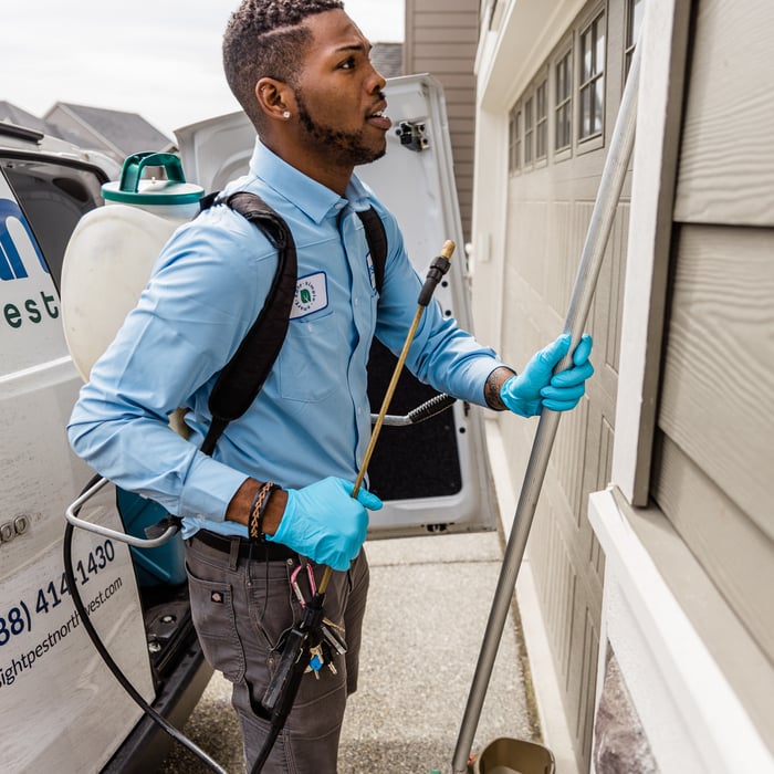 Insight Pest Solutions