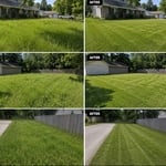 Finished yards
