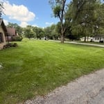 Finished yard