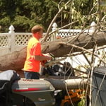Travis cutting the tree off the fence!
