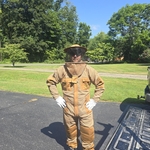 Yellow jackets removal