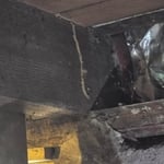 Termite Mud tubes