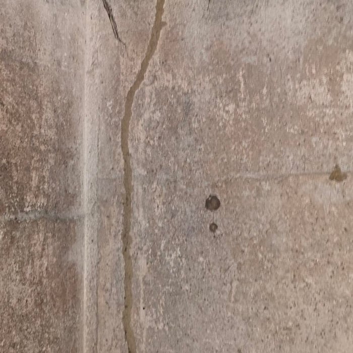 Termite Mud tubes