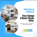Whole House Cleaning