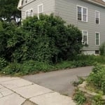 Lawn Care Projects