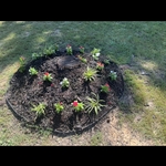 Front yard flower beds