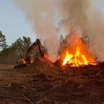 Skidder nest cleaned