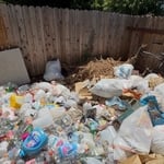 Backyard Clean-out