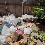 Backyard Clean-out