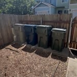 Backyard Clean-out