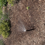 Sprayer
