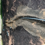 Sprinkler line