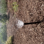 12 inch sprayer