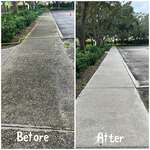 Park cleaning