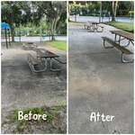 Park cleaning