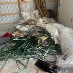 Before removal