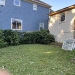 Yard cleanup