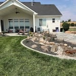 Complete Yard Redo