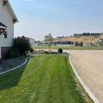 Complete Yard Redo