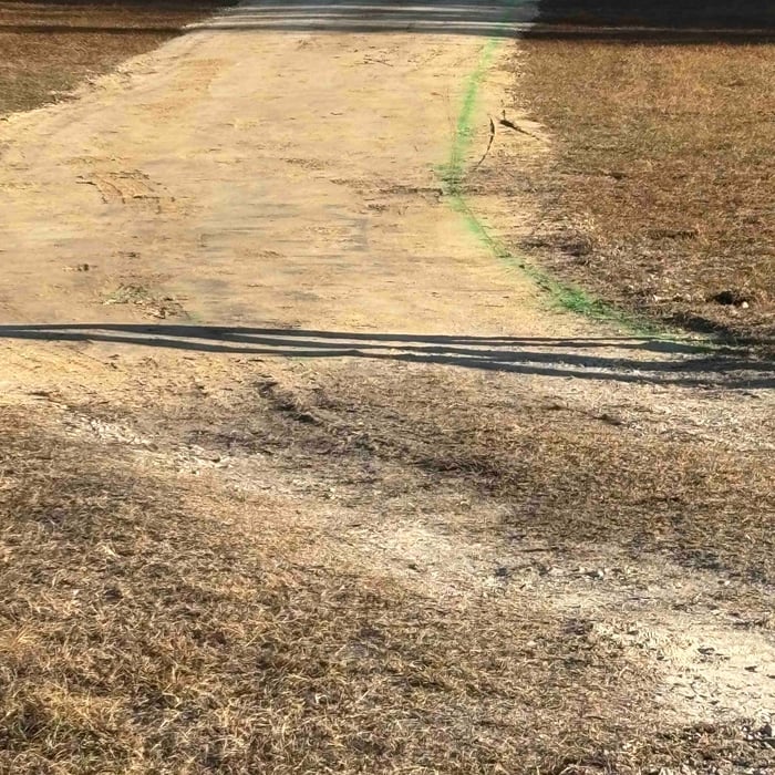 Asphalt driveway