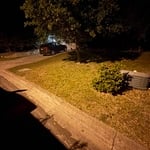Curbside Tree Trimmings