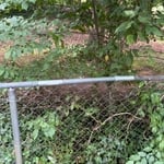 Repair Chain Link Fence