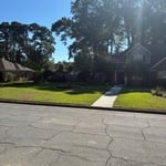 Yard care