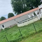 overgrowth cleanup