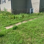 Shrub removal
