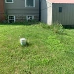 Shrub removal