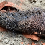 sewer repair