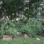 Property Cleanups