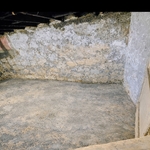 Basement after