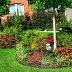 Landscae Makeover