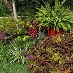 Landscape Design