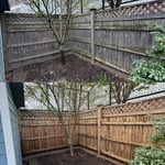Power washing